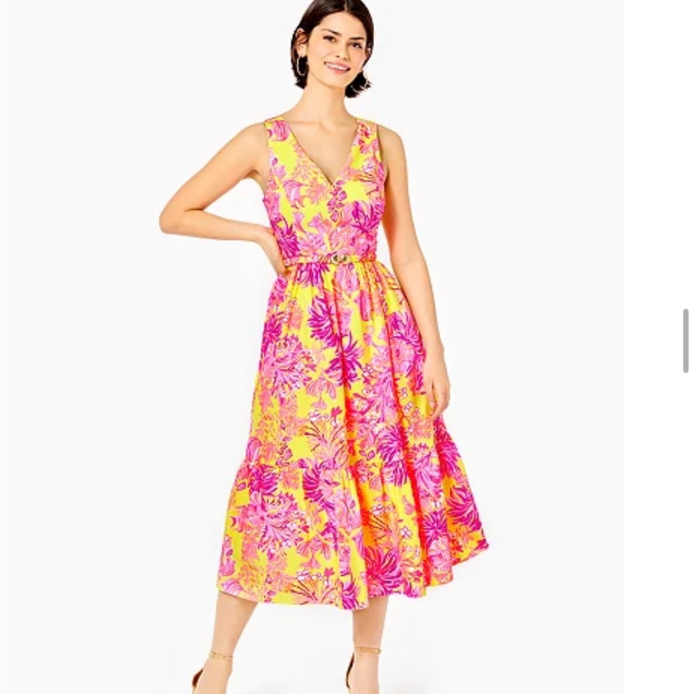 NWT Lilly Pulitzer Bri midi dress